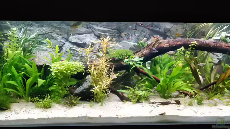 Wasser ist wieder klar von Woidma (28)