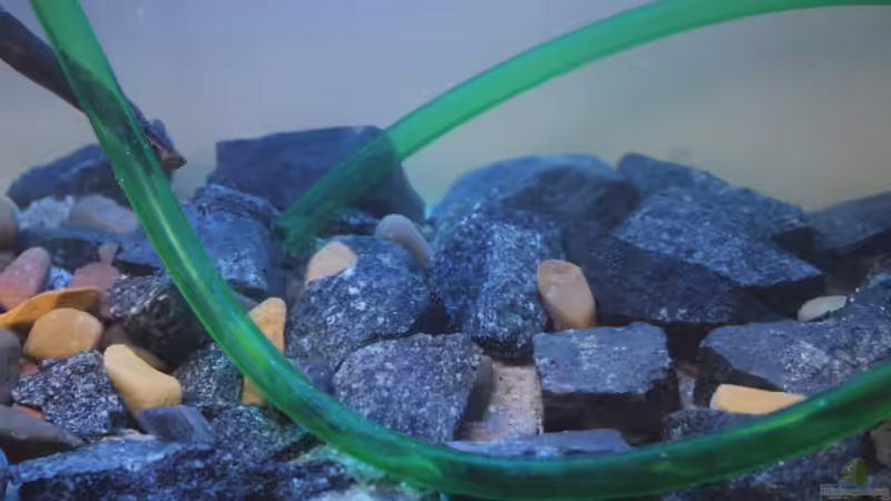 Wasser läuft ein von Falk (4)