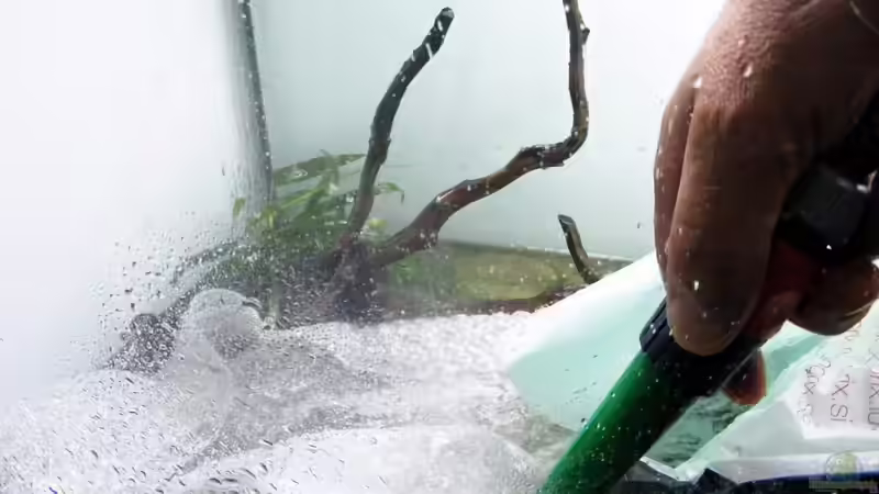 Wasser los! am 6.August von Falk (6)