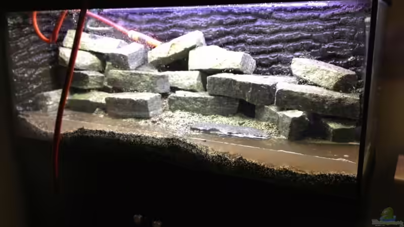 Wasser marsch.... von Ralf Schmitz (3)