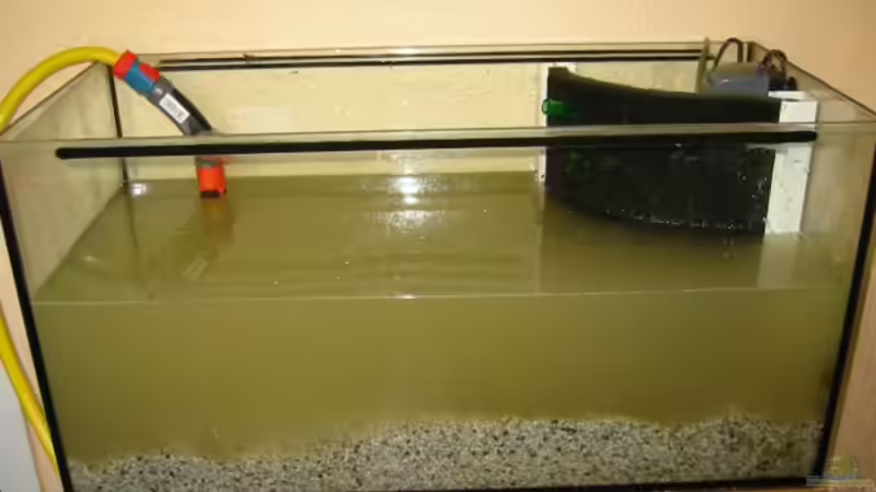 Wasser marsch... von Christina Studt (2)