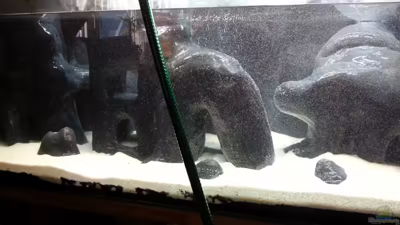 Wasser marsch :-) von Michael Boeck (4)