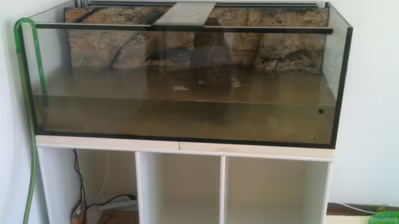 Wasser marsch.. von Matze38 (5)