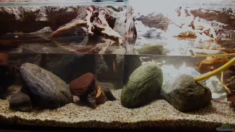 Wasser Marsch ! am 06.12.2010 von Falk (9)