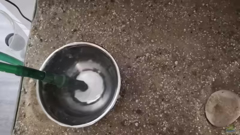 Wasser marsch, das Becken wird geflutet. von Florian Bandhauer (52)