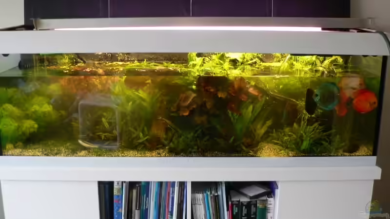 Wasser marsch ! von Der Nicky (21)