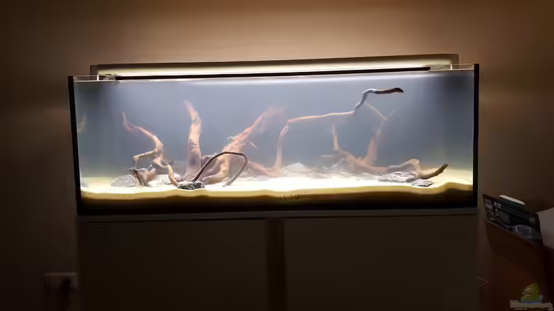 Wasser marsch!  von frutolino (2)