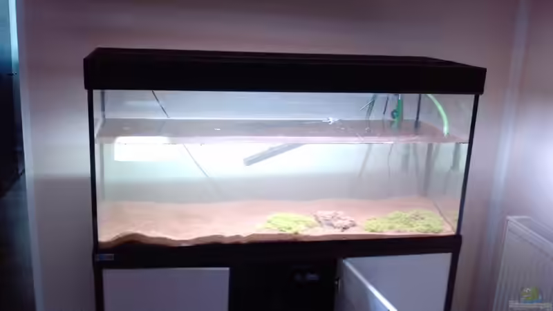 wasser marsch  von Mike Schl. (6)