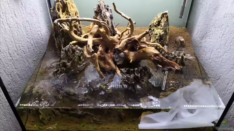 Wasser marsch  von Richard Haberkorn (5)