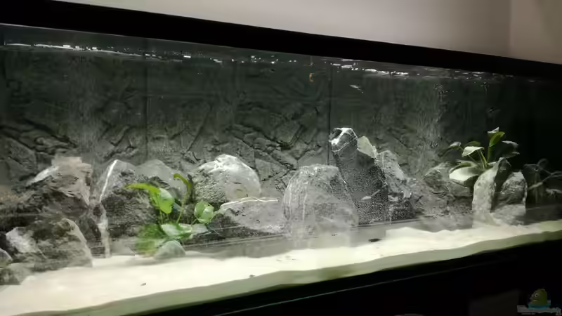 Wasser marsch von Andreas Rieger (7)