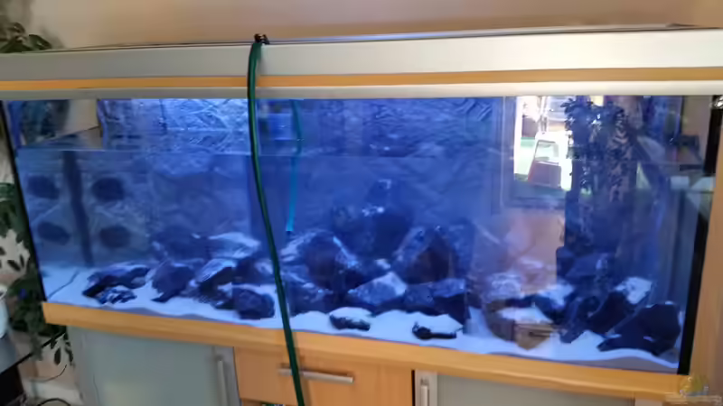 Wasser marsch von Christian Osterloh (7)