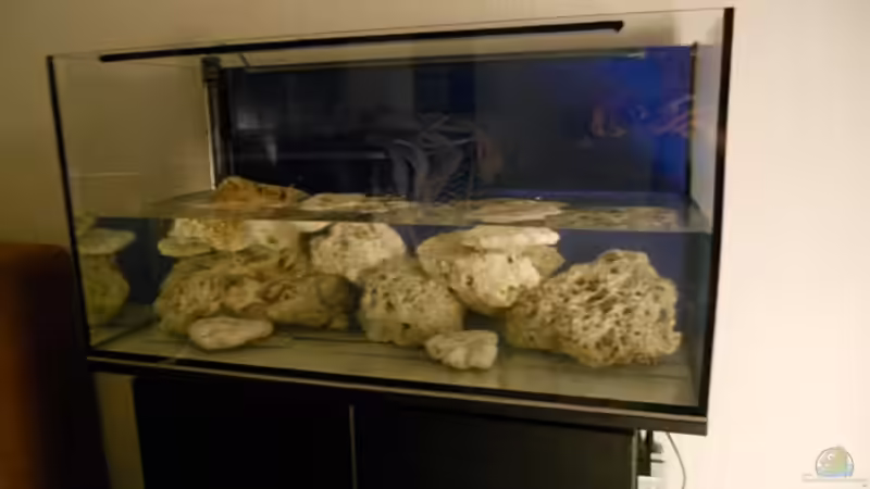 Wasser marsch von Dennis Rienecker (8)