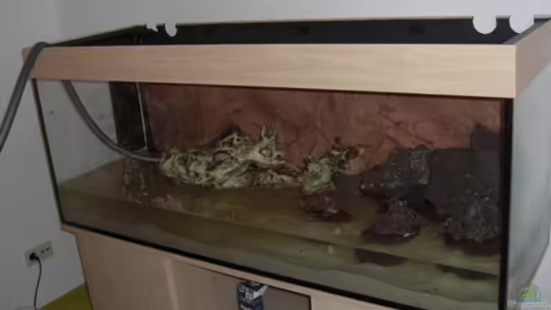 Wasser Marsch von Günni (11)