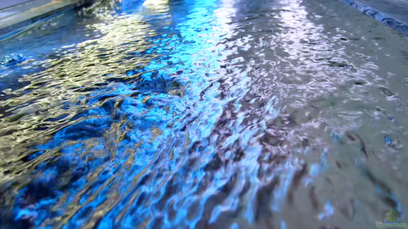 Wasser Marsch von JAMES-JONES (4)