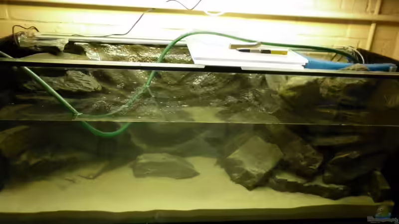 wasser marsch!!!! von Julien Preuß (40)