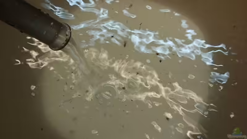 Wasser Marsch! von Markus K. (8)