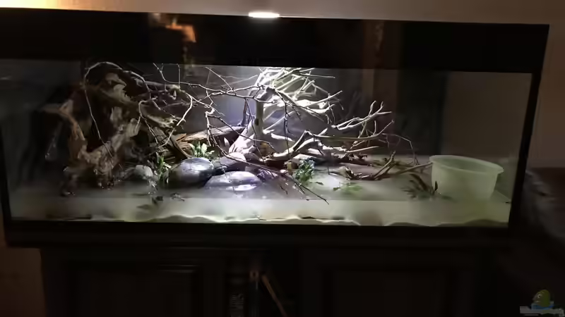 Wasser marsch von NaMo (14)