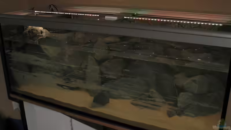 Wasser marsch von Oliver H. (9)