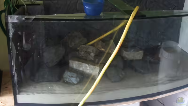 Wasser Marsch von Pierre (6)