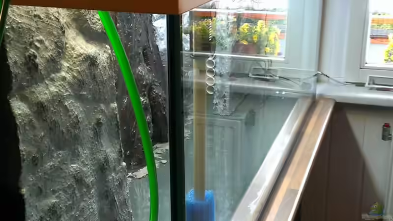 Wasser Marsch! von raubsau (42)