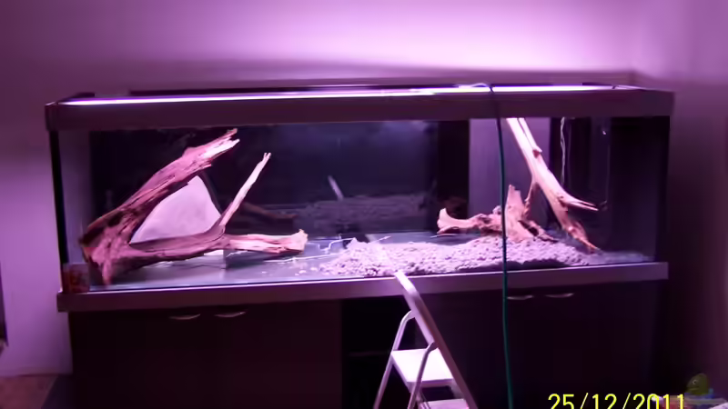 Wasser Marsch von Stefan Arenth (12)