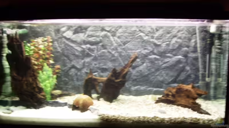 Wasser marsch! von Thomas Gornioczek (5)