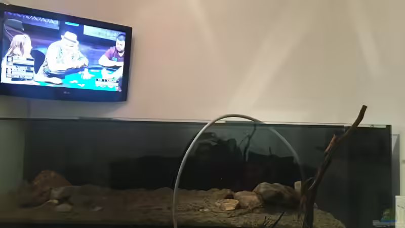 Wasser marsch von Thomas S-H (13)