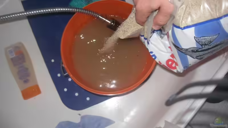 wasser marsch! von Tiburón (4)