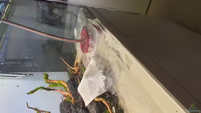 Wasser marsch von Tobi2013 (25)