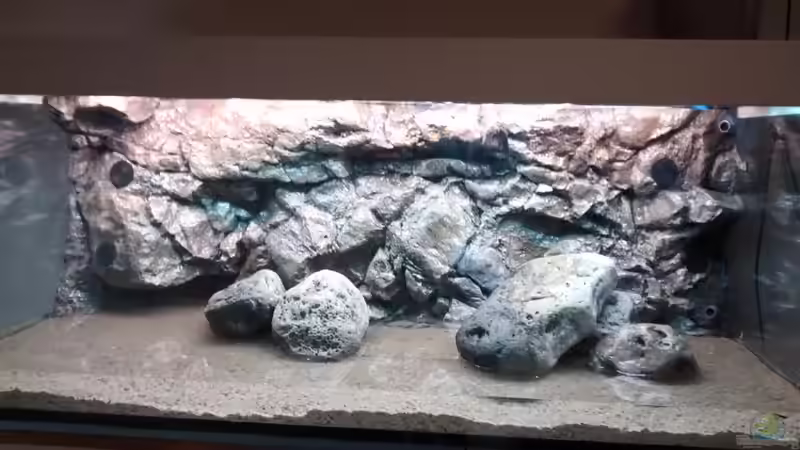 Wasser marsch von Tom (2)