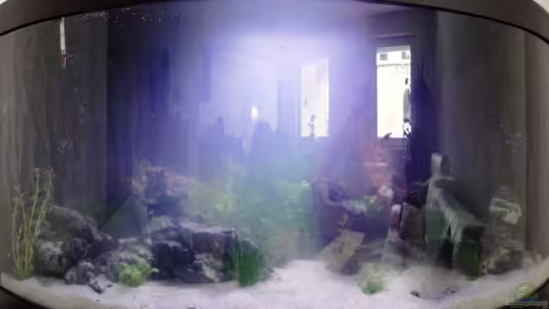 Wasser noch trüb - aber wird schon von Heidi und Gerhard (3)