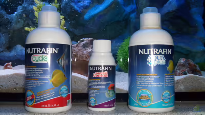 Wasser-Pflege von JAMES-JONES (6)