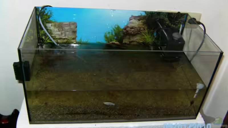 Wasser raus, Kies raus von DaVeyD (14)