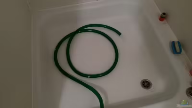Wasser raus aus dem Bad, rein ins Becken und dann wieder raus aus dem Becken rein ins Bad bis das Wasser im Aquarium klar ist. Zu kalt für mich zum duschen. von Beulenkopftyp (31)