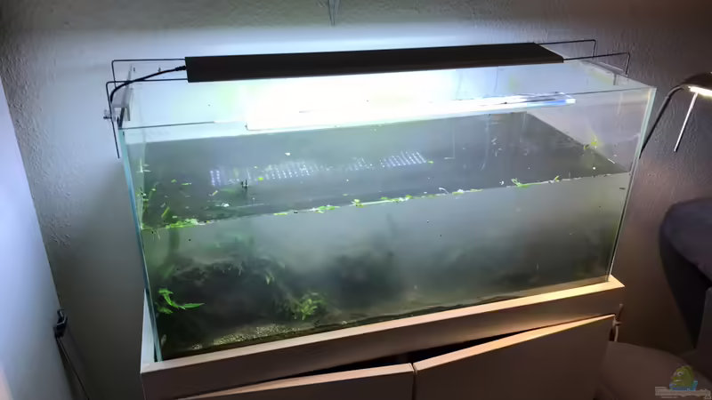 Wasser raus von Der Nicky (3)