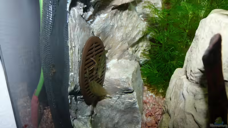 Wasserablauf durch Sieb für Möbelbelüftung von Zewana (20)