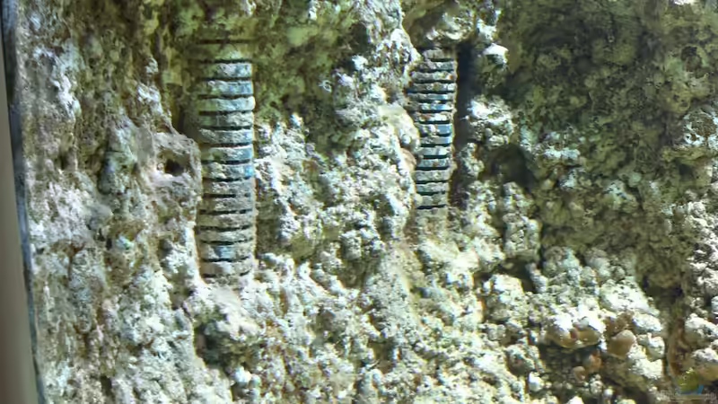 Wasseransaugung (Strömungspumpe) von Thomas Schuster (2)