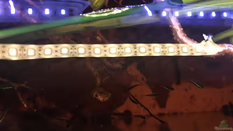 Wasseransicht von oben von Raven887 (29)