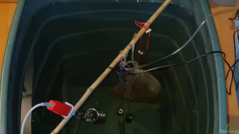 Wasseraufbereitung in der 300l Regentonne von ravaka (22)