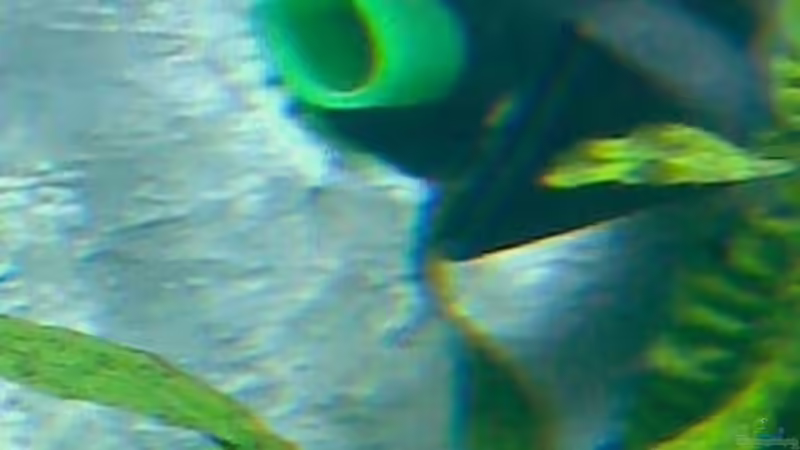 Wasserauslass von Michael Geigel (15)