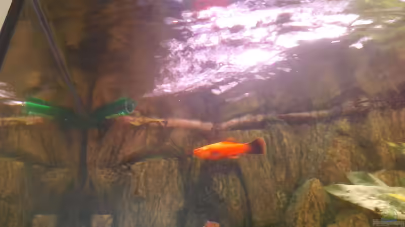 Wasserauslaufströmung von Marcus Egeling (10)