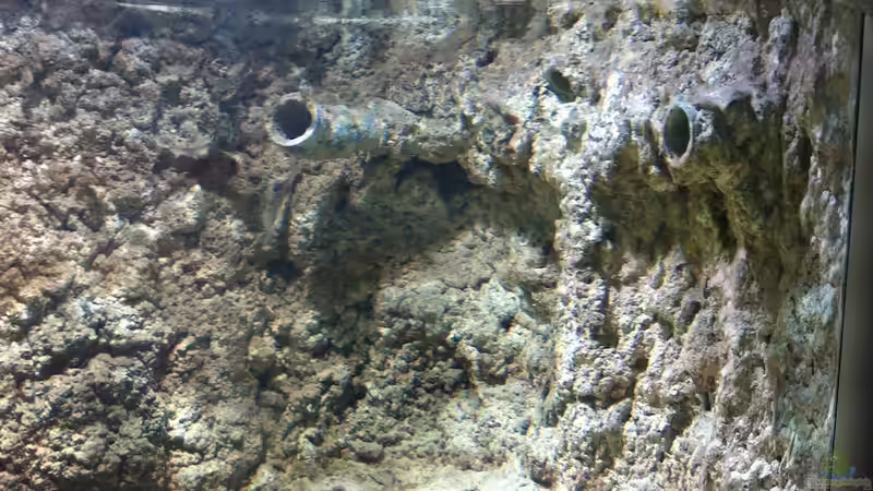 Wasseraustritt (Strömungspumpe) von Thomas Schuster (3)