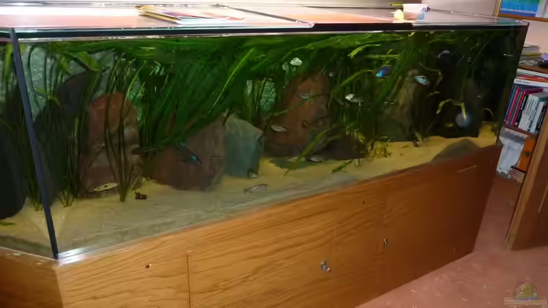 Wasserbausteine von roofer112 (4)