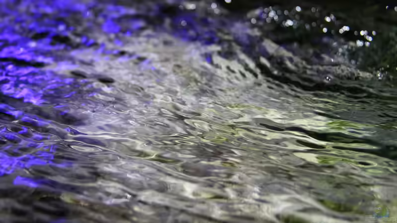 Wasserbewegung an der Oberfläche von Dirkan (17)