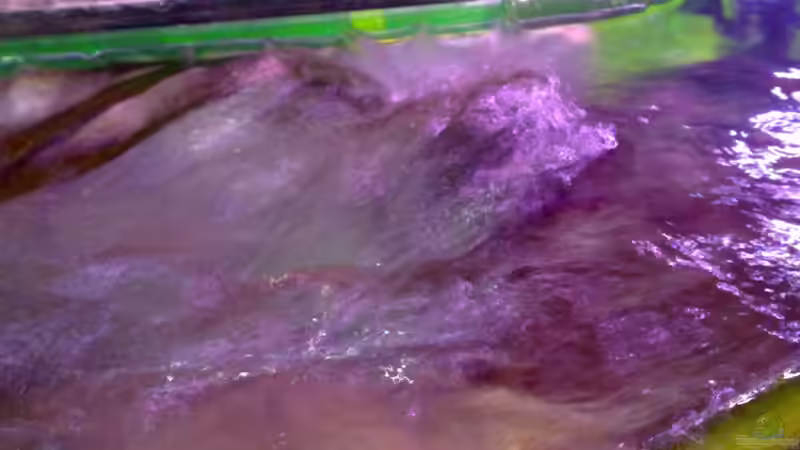 Wasserbewegung durch die Strömungspumpe von Antonio Di Simone (16)