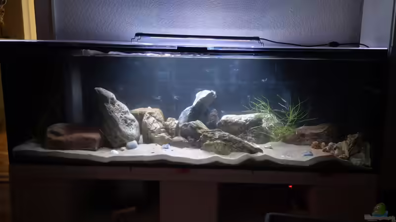 Wassereinlass von Cichliden-Kabuff (6)