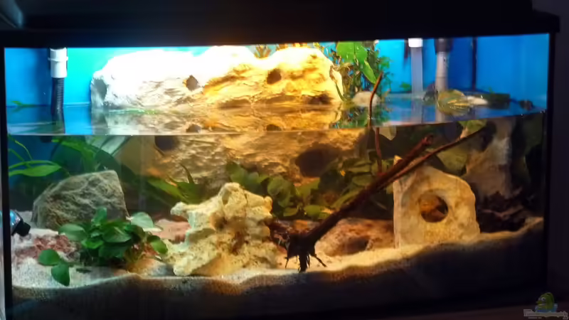 Wassereinlass von Couro (9)