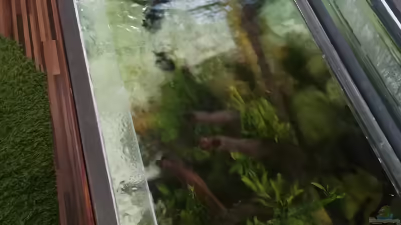 Wassereinlass von links von Bermuda 3eck (37)