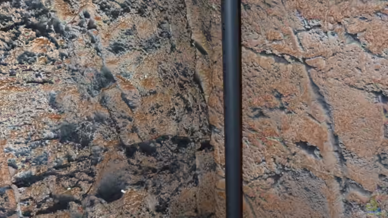 Wassereinlauf vom Brunnen von Lippi (22)