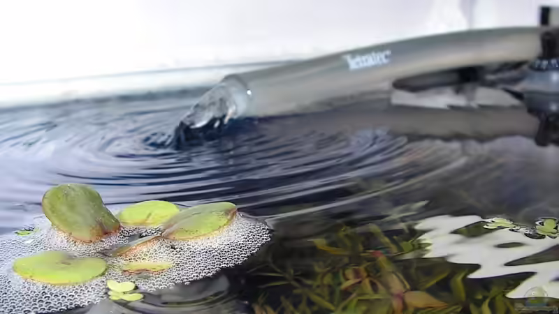 Wassereinlauf von Carsten Schröder (7)